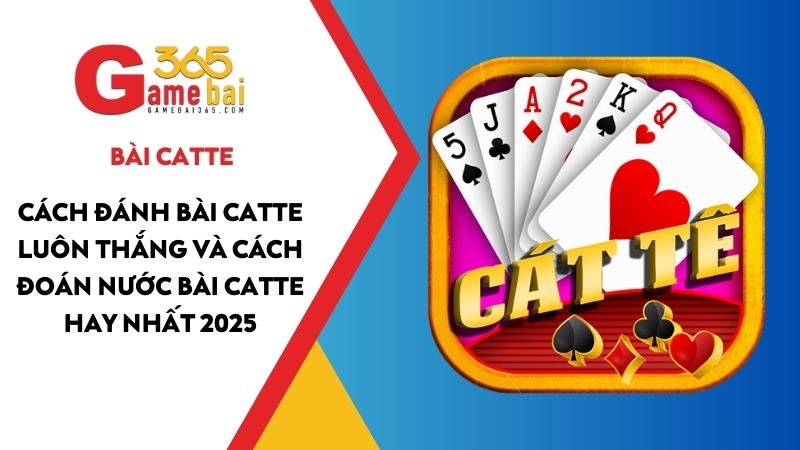 Cách đánh bài Catte luôn thắng và cách đoán nước bài Catte hay nhất 2025